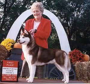 Dixie Page