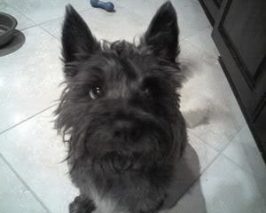 Mitzi Ruff