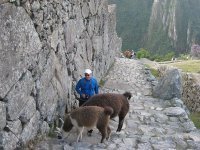Rick Ferriby
