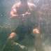 Christopher Polito