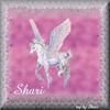 Shari Stephens