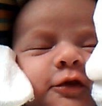 Chett Vankline
