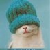 Nathan Hase