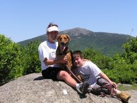 Staci Willbarger