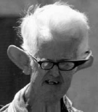 Denny Terrano