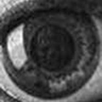 Jason Toschlog