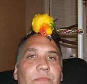 Christopher Nypert