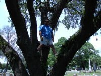 Jose Renteria