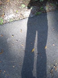 Emily Horos