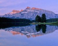 Dawn Susits