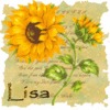 Lisa Harris