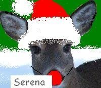 Serena Daigle