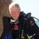 David Hogan