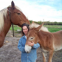 Melissa Provost