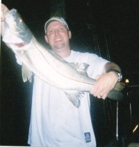 Eric Werbelow