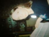Sherry Aaron