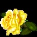 Norman Eicker