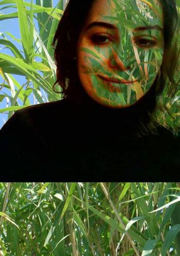 Delia Merola