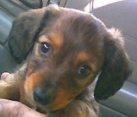 Dollie Tucker