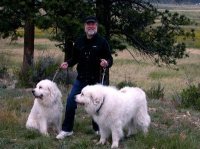 Frank Applestein