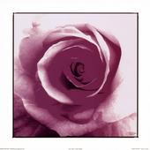 Tammy Cowdery