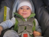 Ashesh Troester