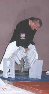 Charles Bienenstein