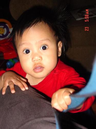 Carol Chan