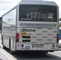Diana Cordio