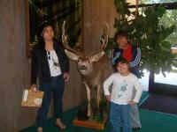 Romelda Famorcan