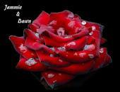 Dawn Martin
