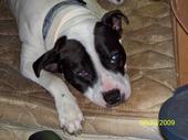 Peggy Yax