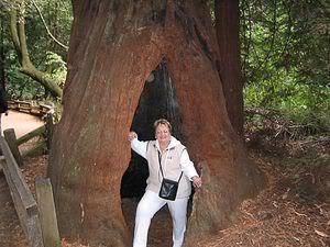 June Ackerly