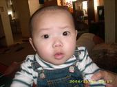 Bao Yang