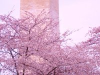 Huyen Do