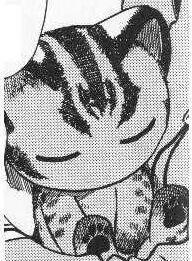 Tsai Hsieh