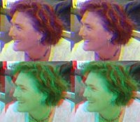 Lori Beraha