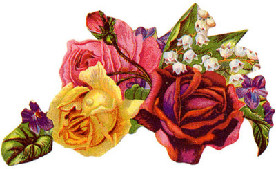 Rosemary Marti