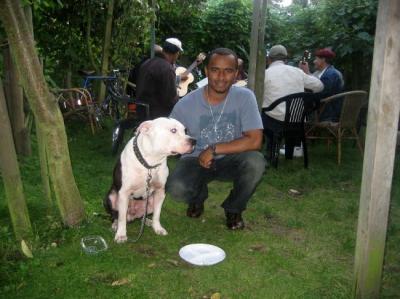 Avelino Silva