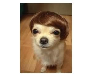 Sherise Thatch