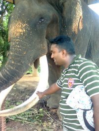 Mayuran Nagalingam