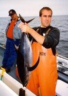 Kevin Marks