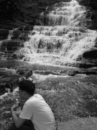David Kim