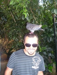 Damir Reckovic