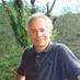 Andrew Rosen