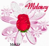 Meloney Wesolowski