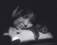 Laura Depalma