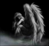 Donna Andress