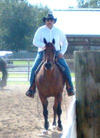 Vaughn Sebree