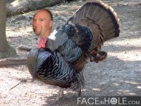 Graham Moes